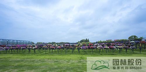 电竞比赛押注app