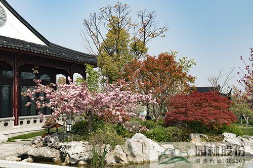 电竞比赛押注app