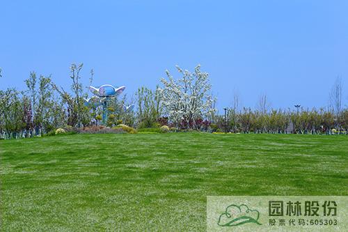 电竞比赛押注app