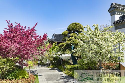 电竞比赛押注app