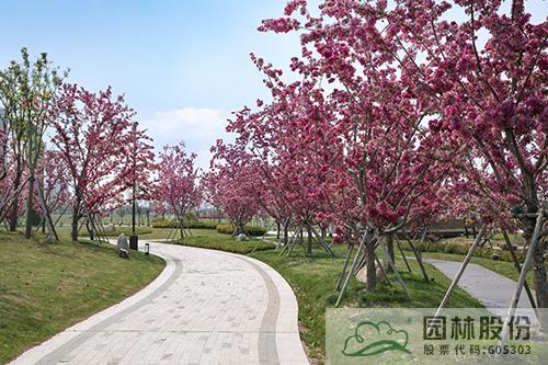 电竞比赛押注app