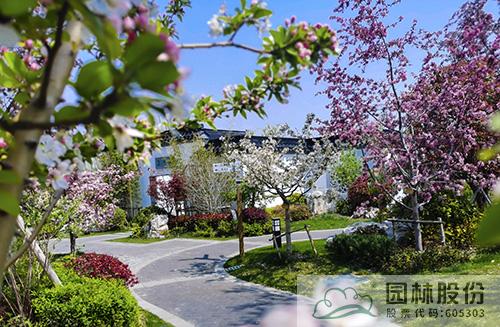 电竞比赛押注app