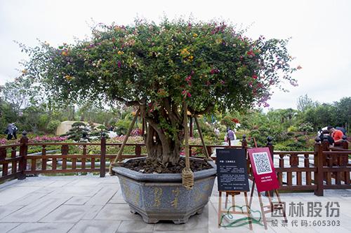 电竞比赛押注app