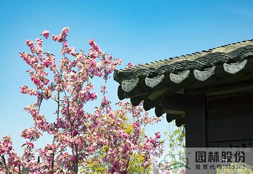 电竞比赛押注app