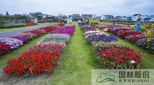 电竞比赛押注app