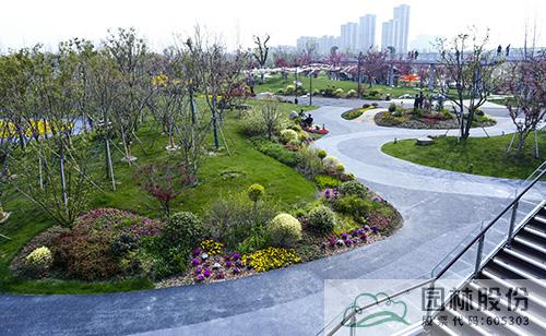 电竞比赛押注app