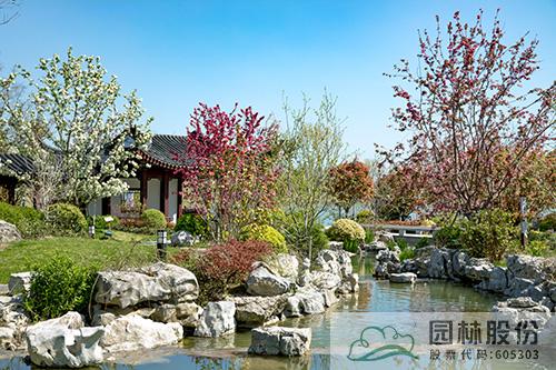 电竞比赛押注app