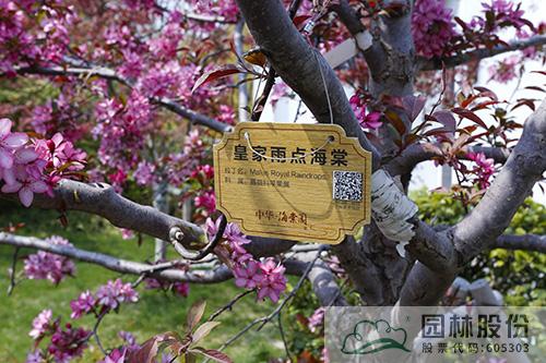 电竞比赛押注app