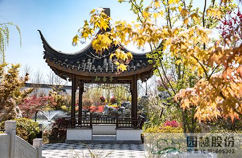 电竞比赛押注app