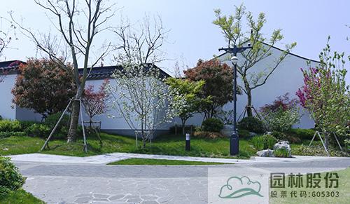 电竞比赛押注app