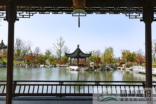 电竞比赛押注app