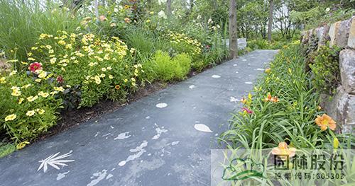 电竞比赛押注app