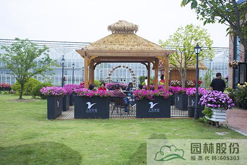 电竞比赛押注app