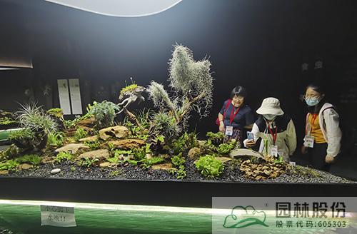 电竞比赛押注app