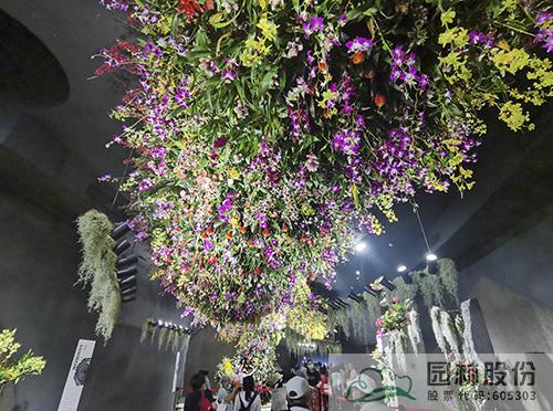 电竞比赛押注app