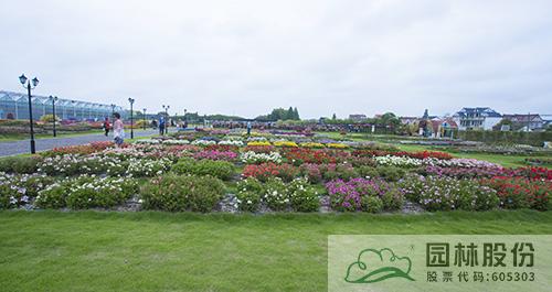 电竞比赛押注app