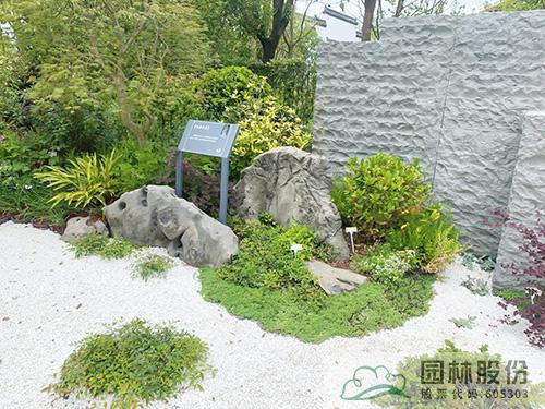 电竞比赛押注app