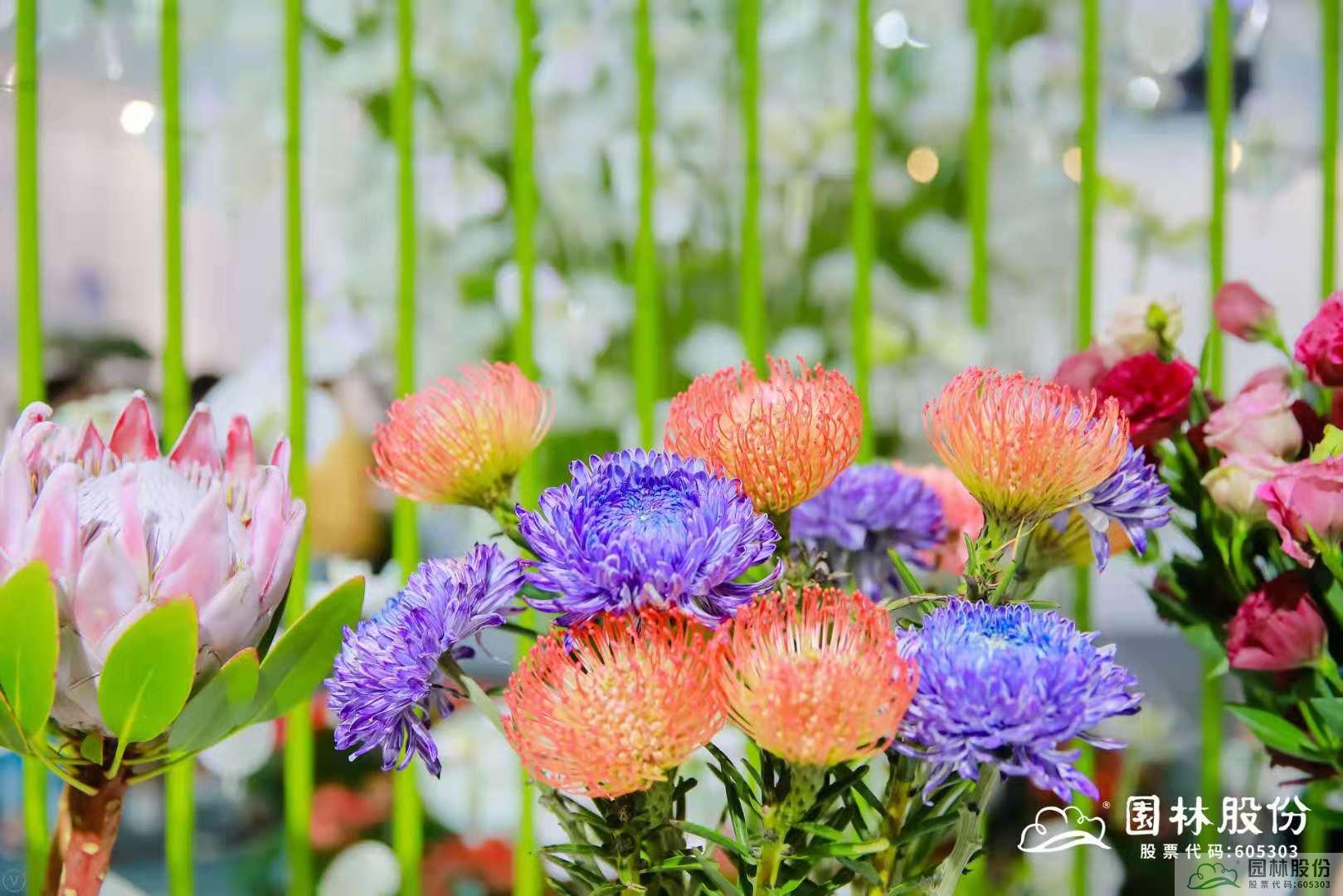 电竞比赛押注app