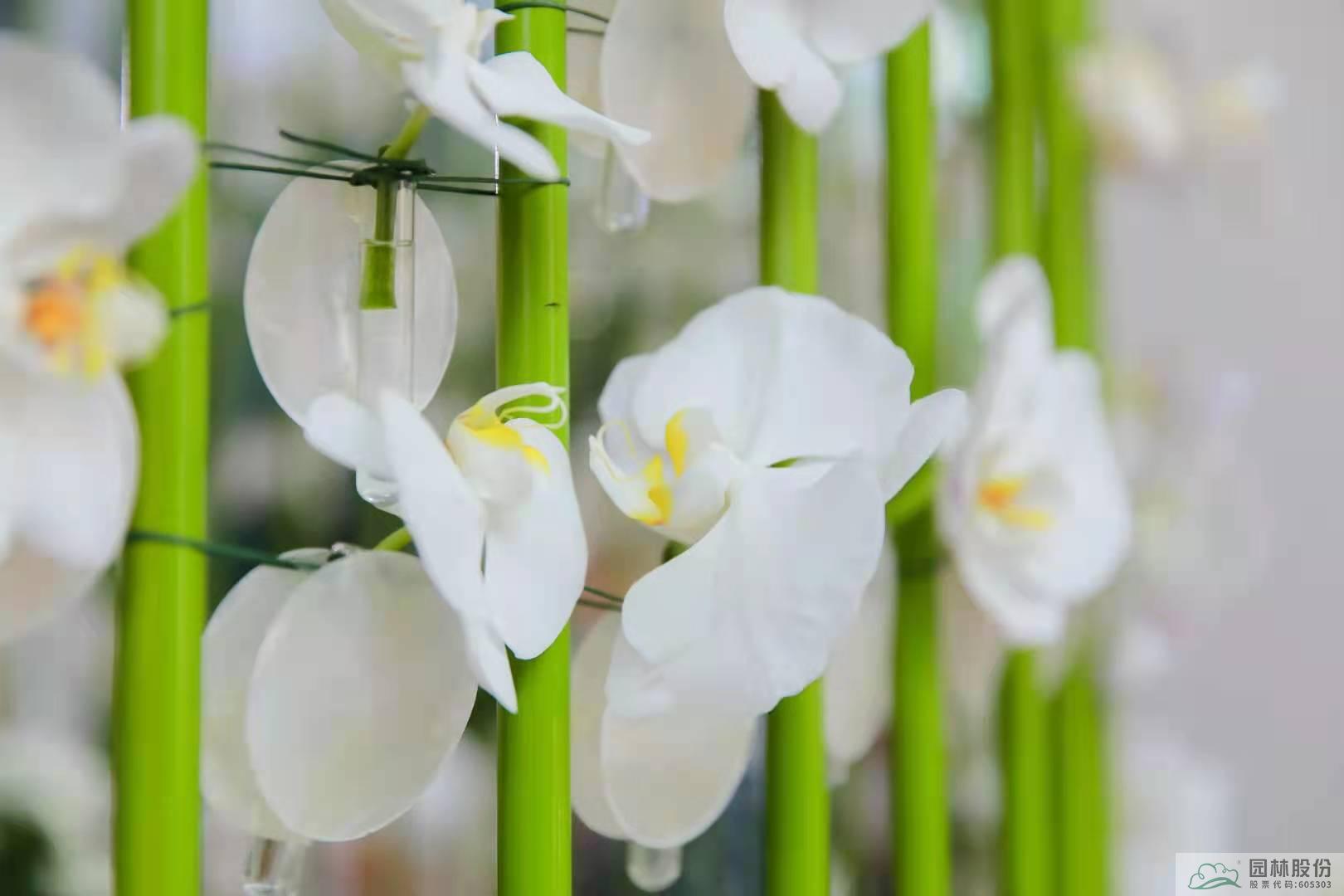 电竞比赛押注app