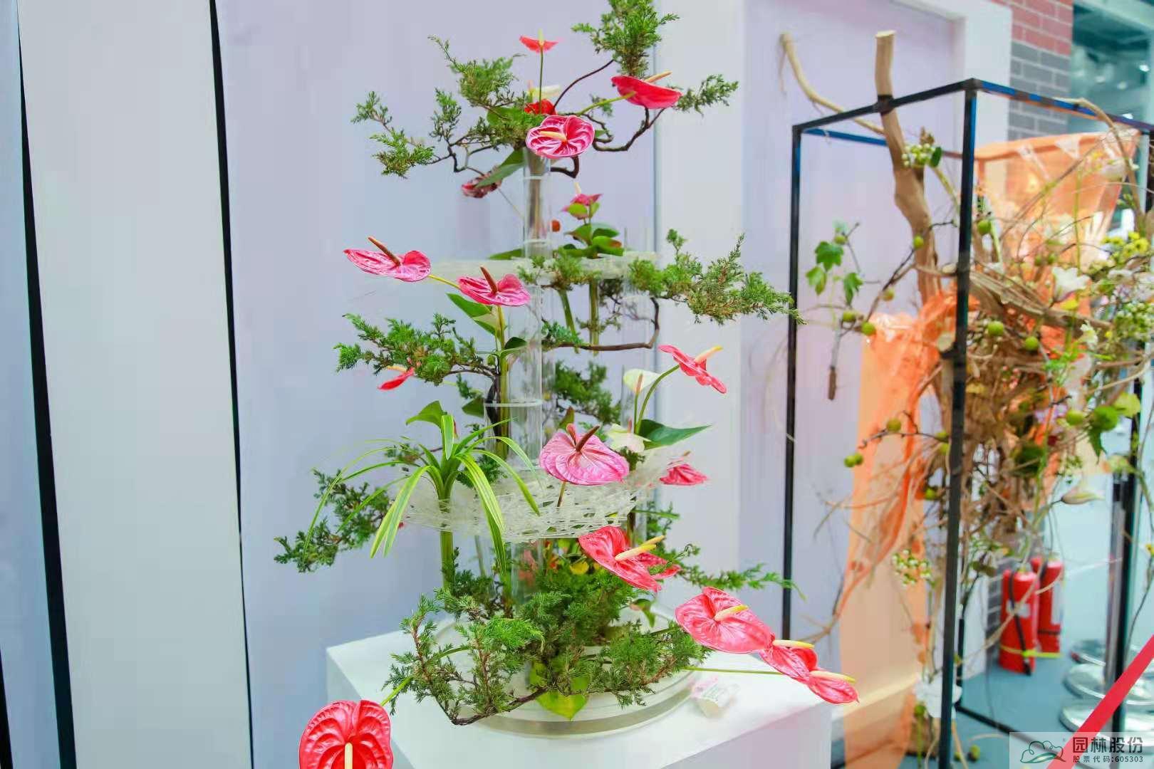 电竞比赛押注app