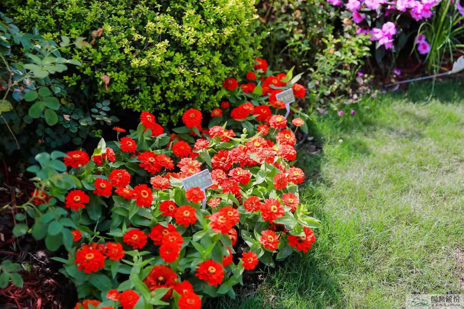 电竞比赛押注app