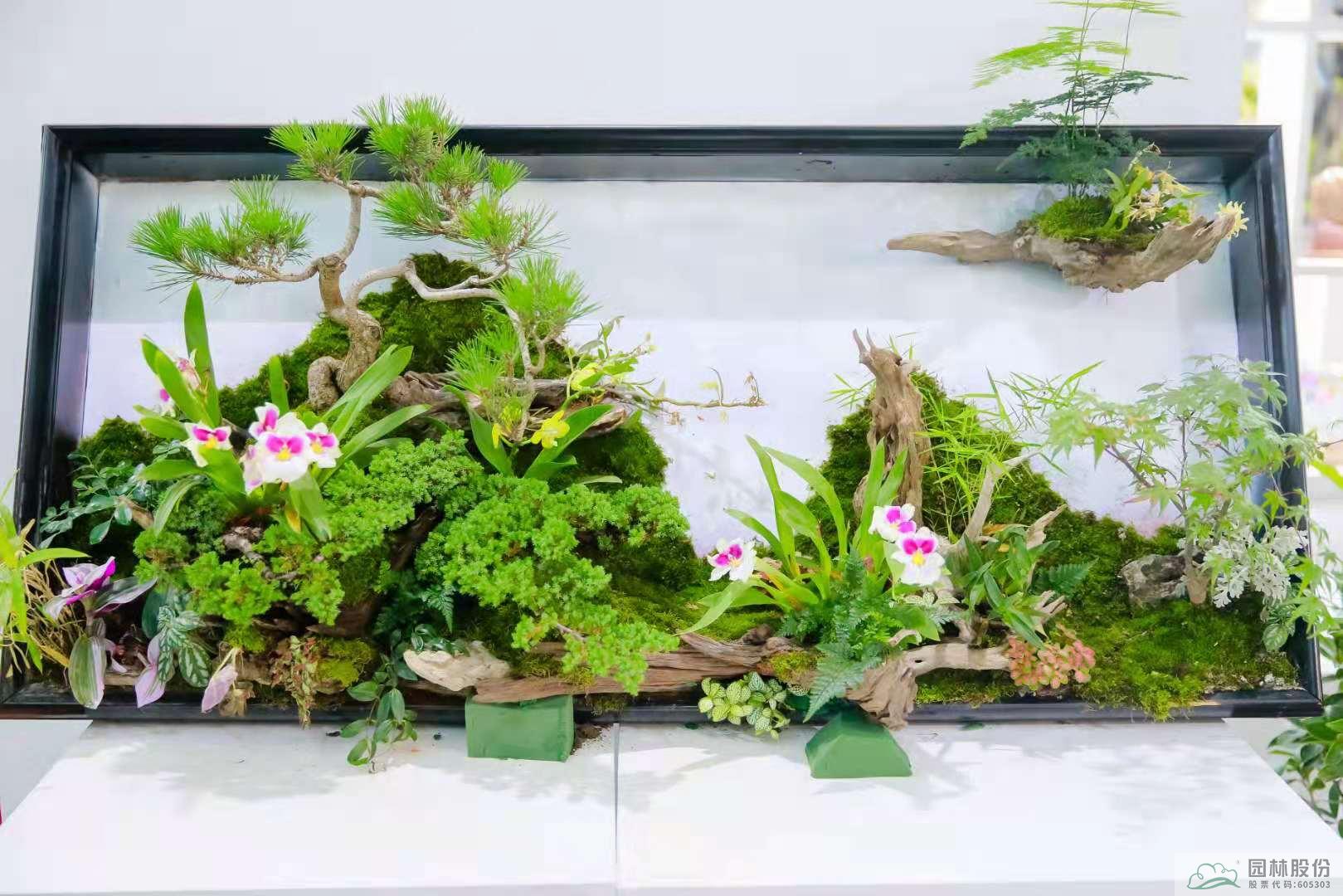 电竞比赛押注app