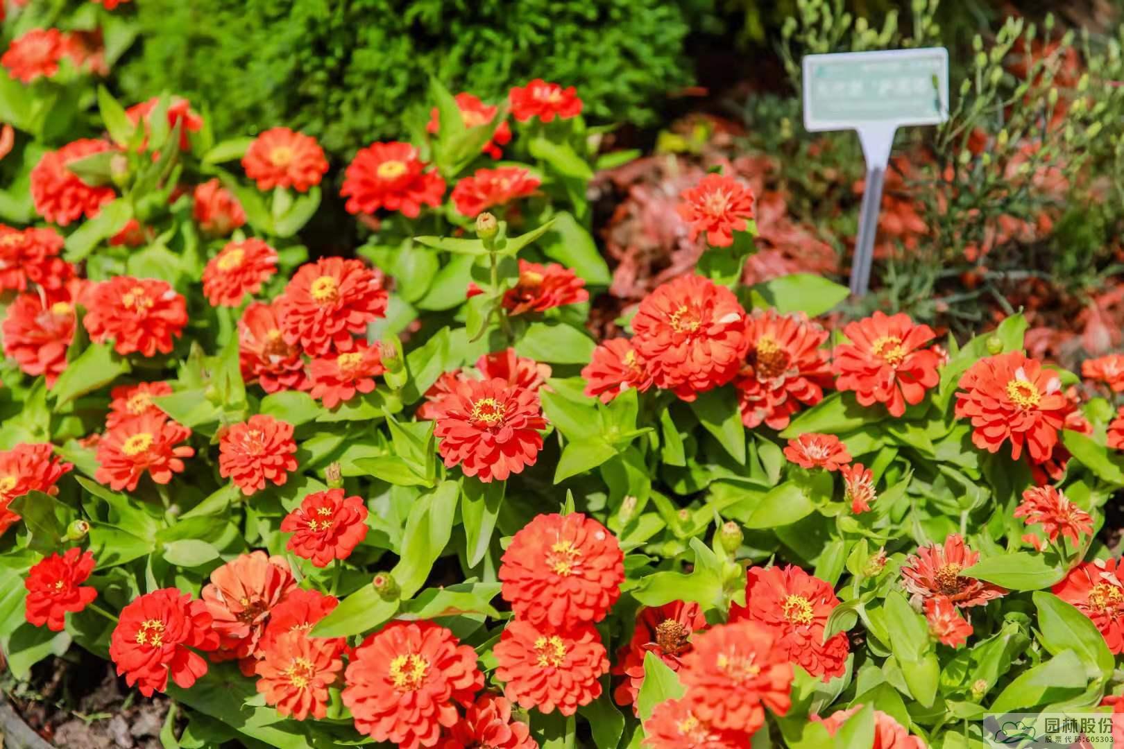 电竞比赛押注app