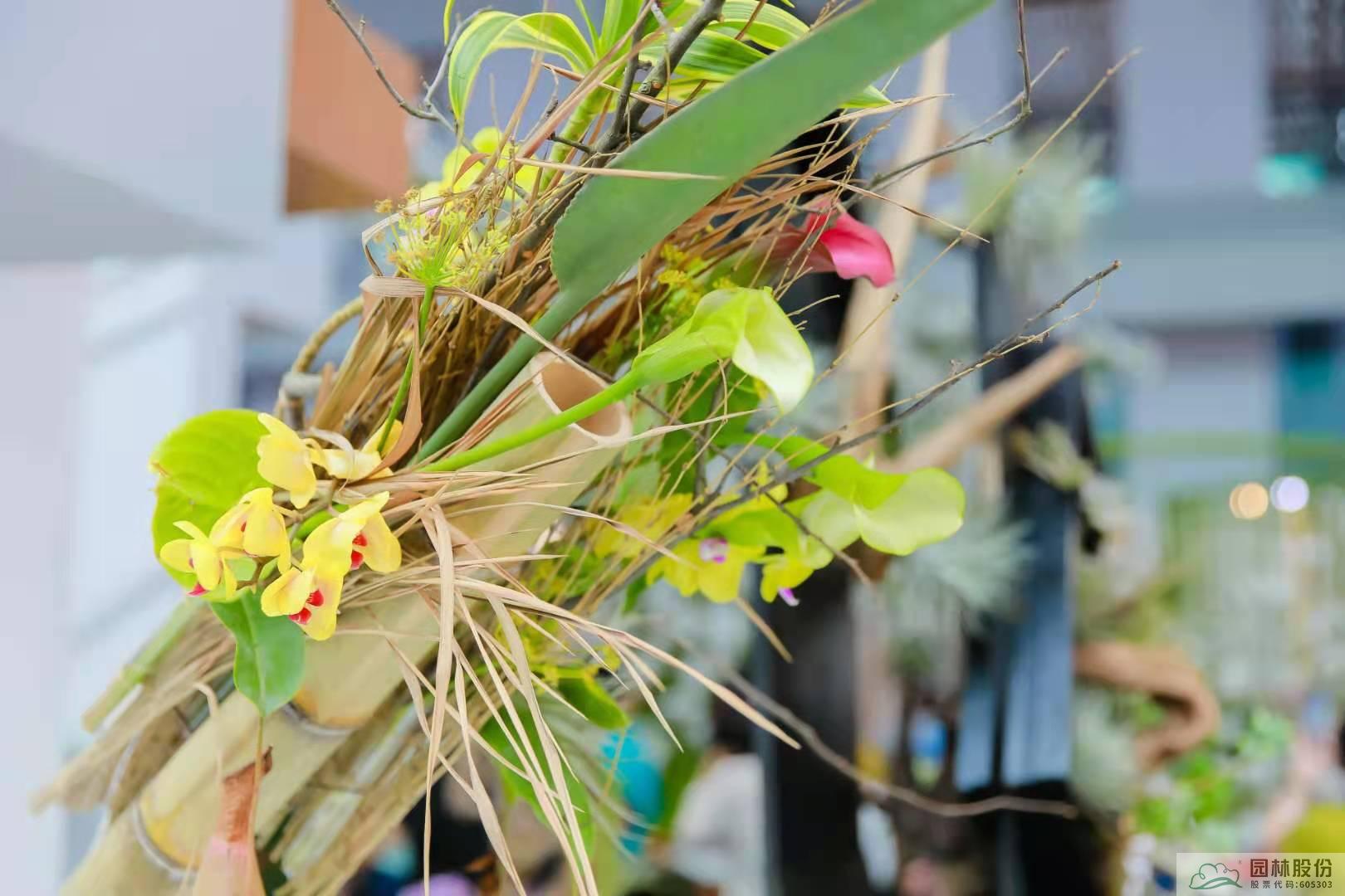 电竞比赛押注app