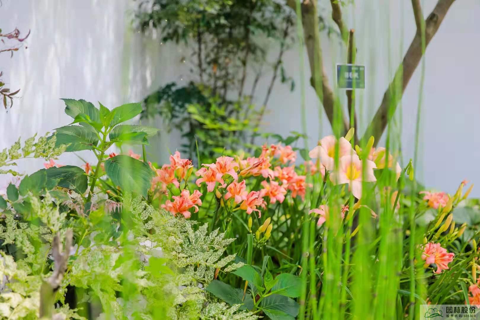 电竞比赛押注app