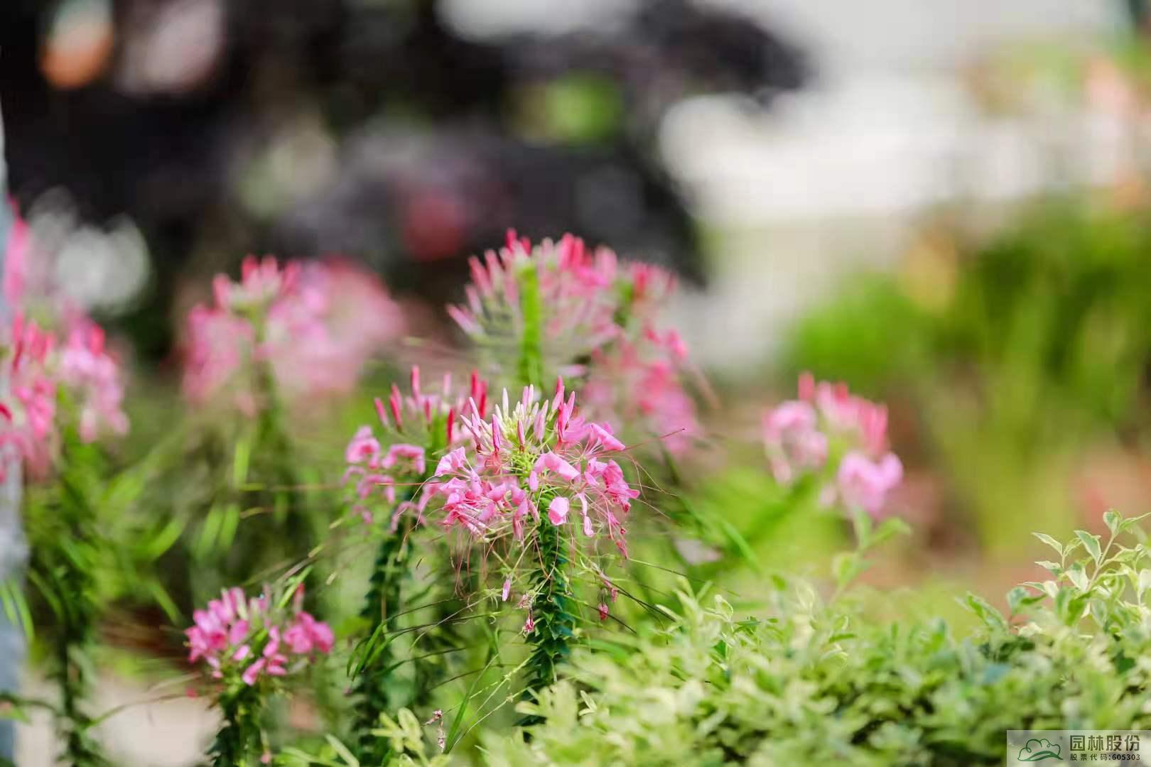 电竞比赛押注app