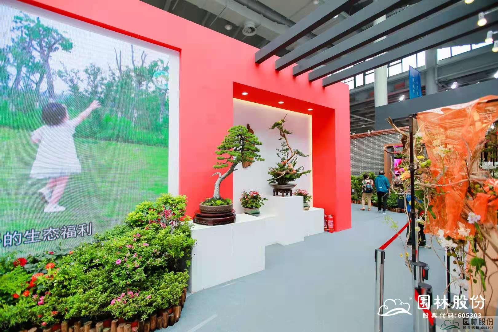 电竞比赛押注app