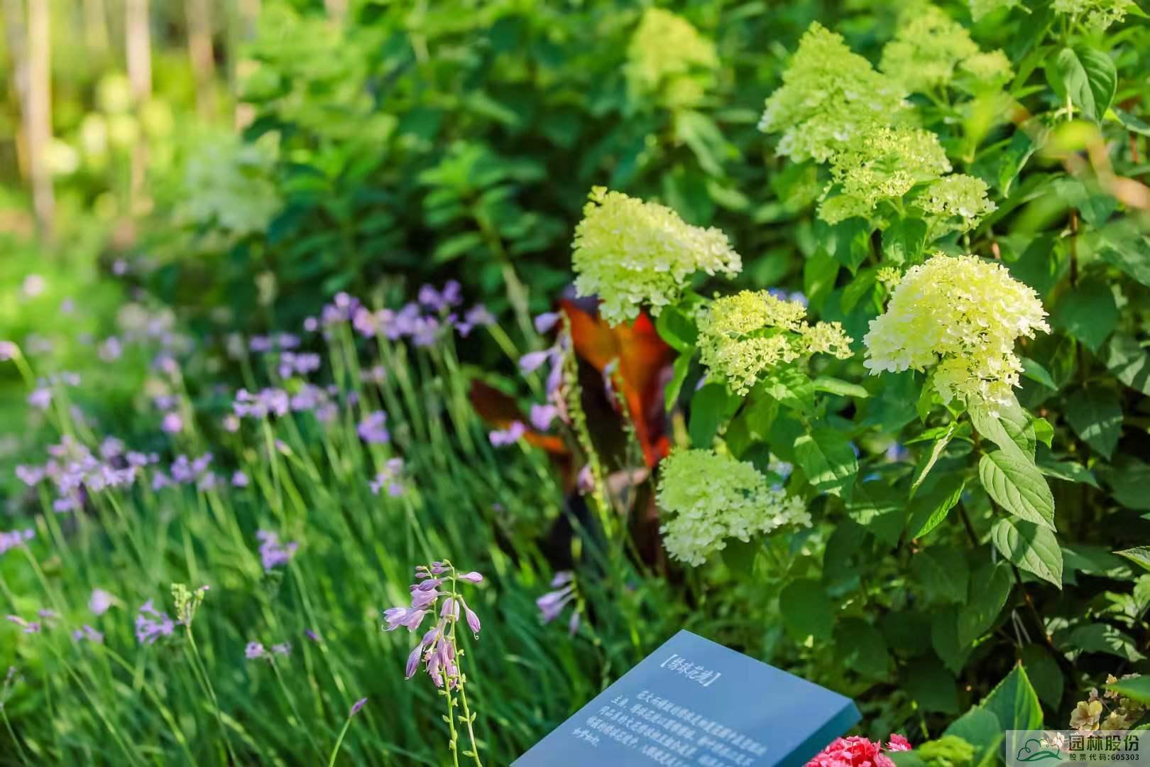 电竞比赛押注app