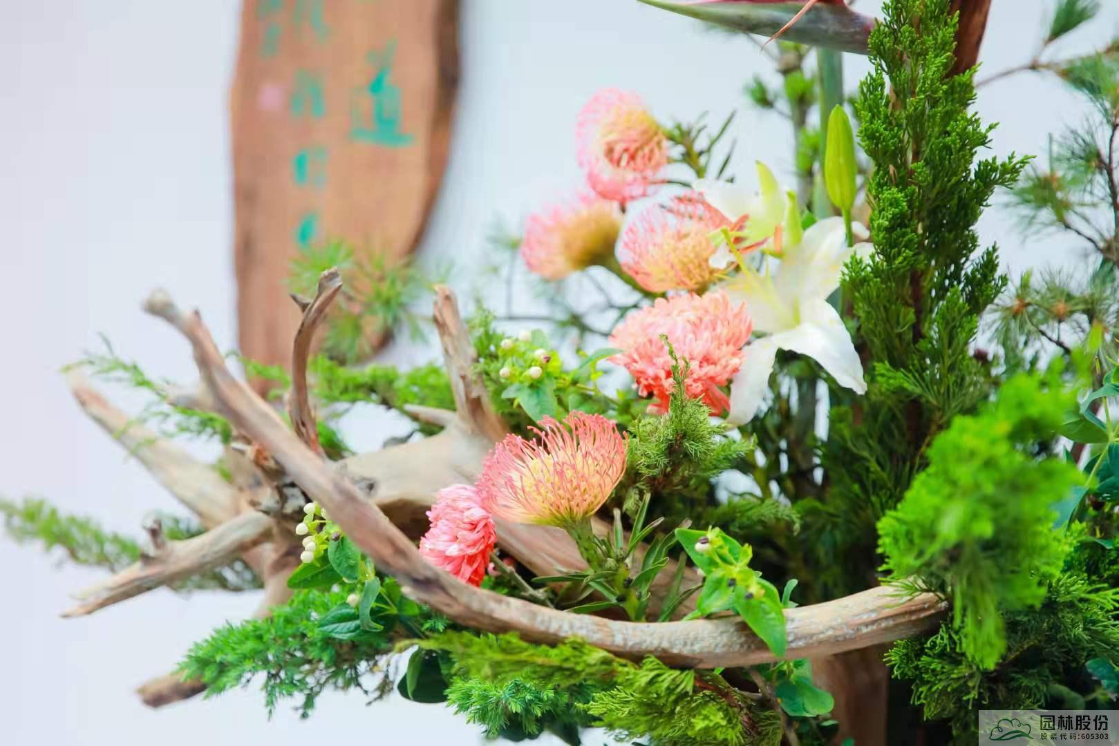 电竞比赛押注app