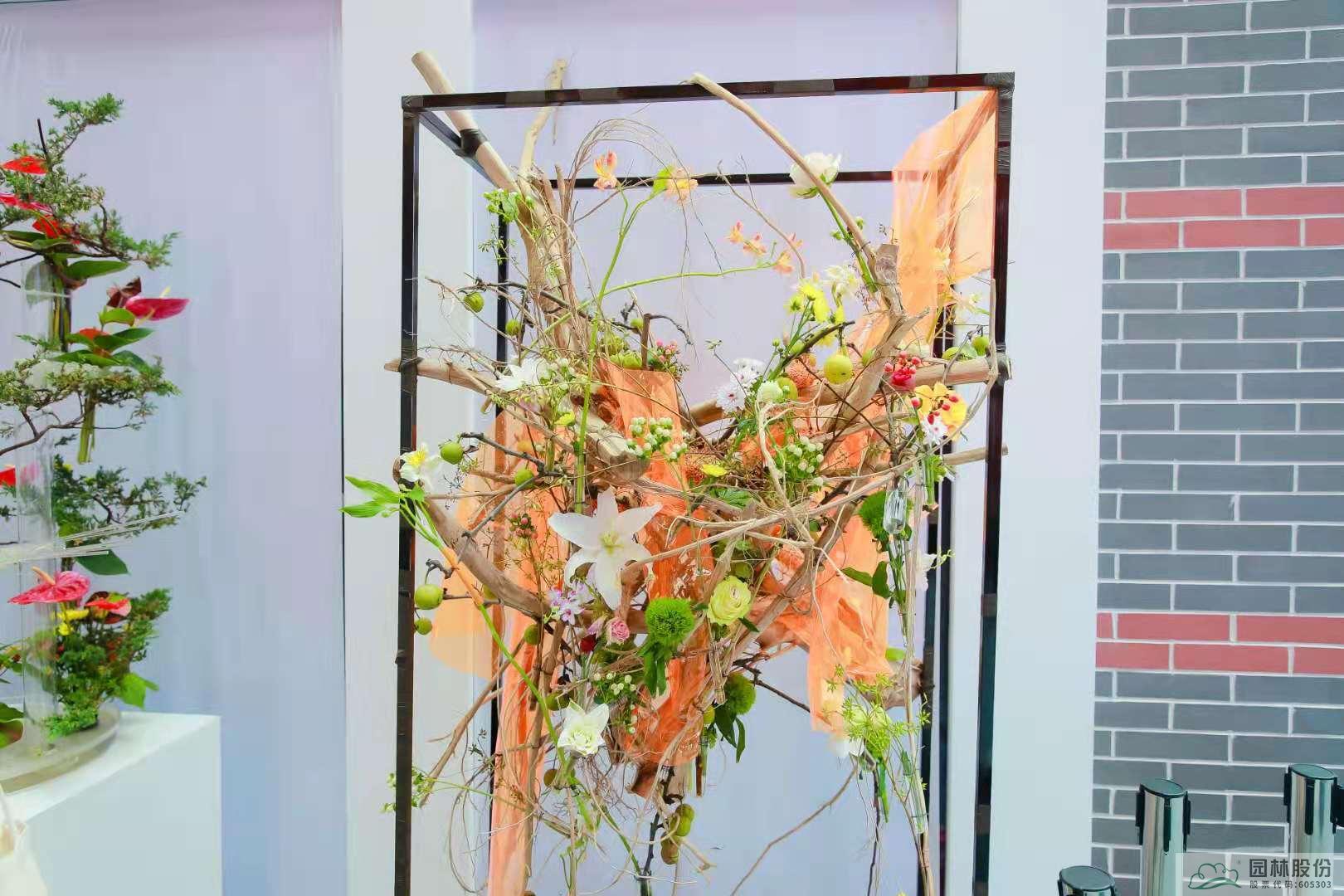 电竞比赛押注app