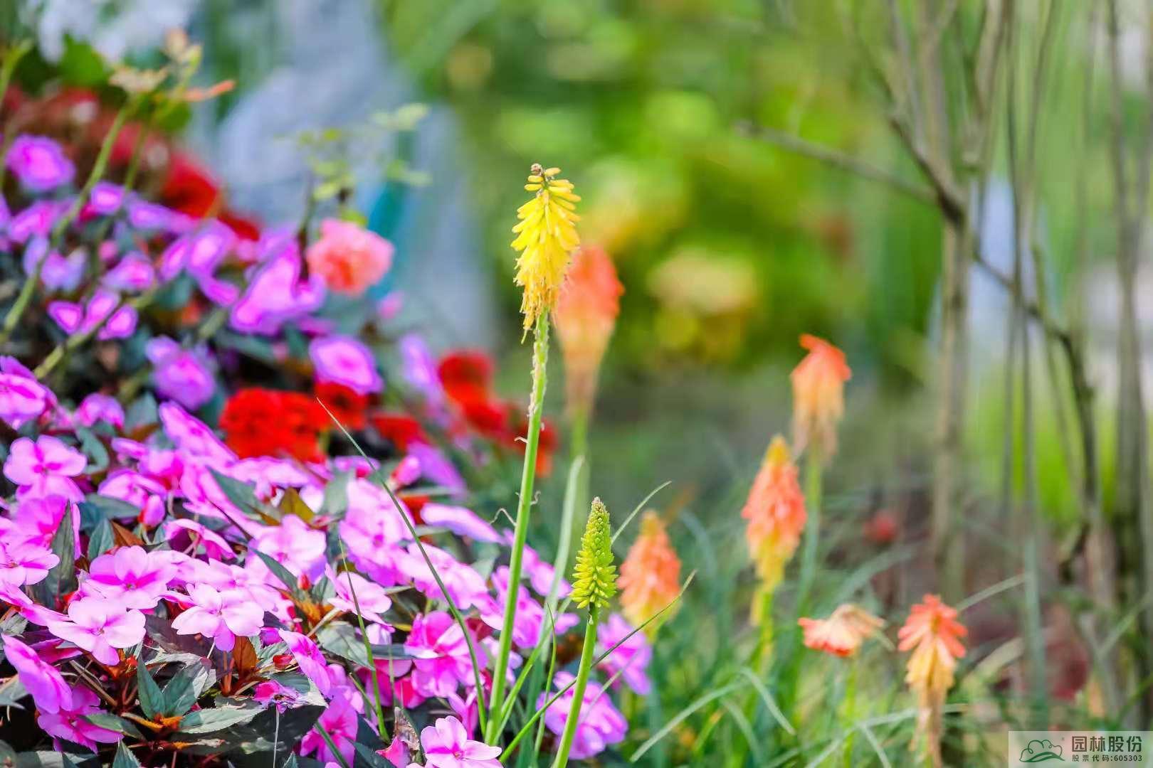 电竞比赛押注app