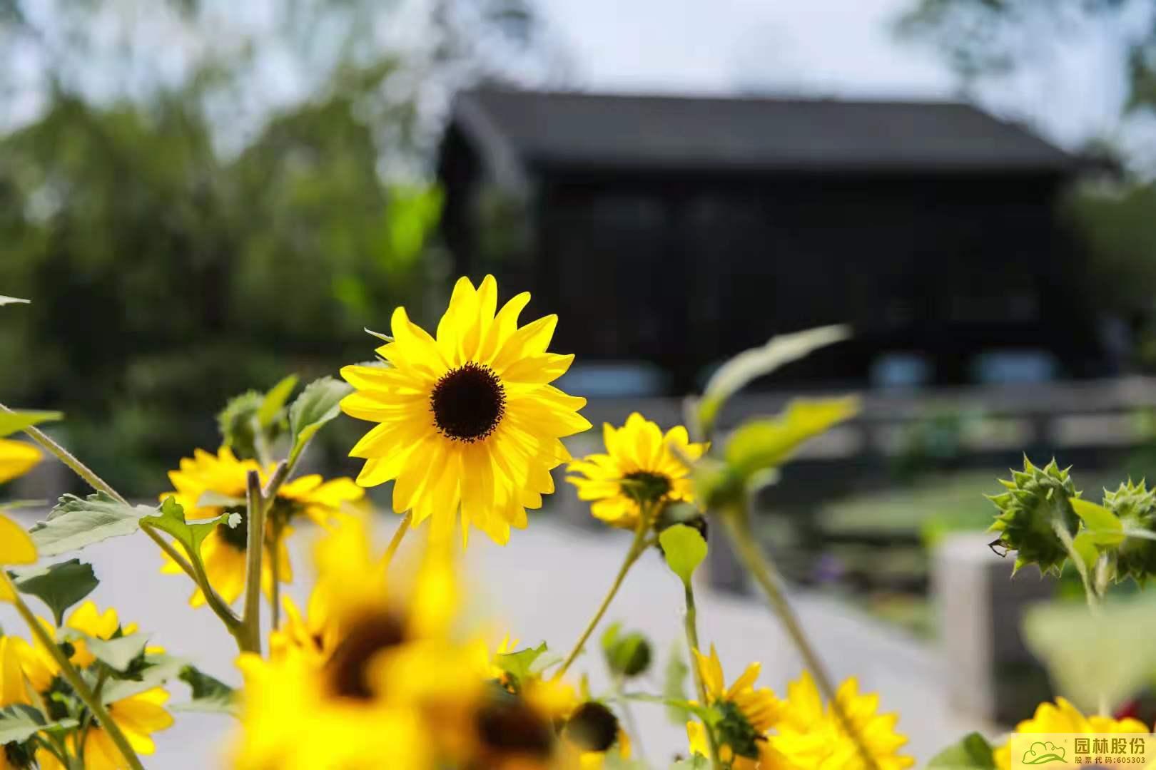 电竞比赛押注app