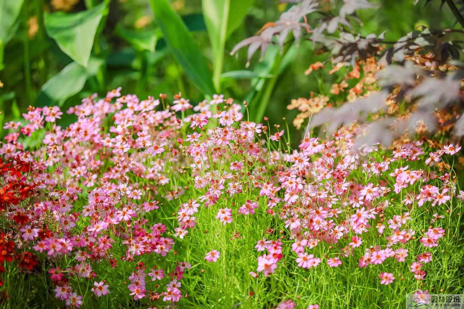 电竞比赛押注app