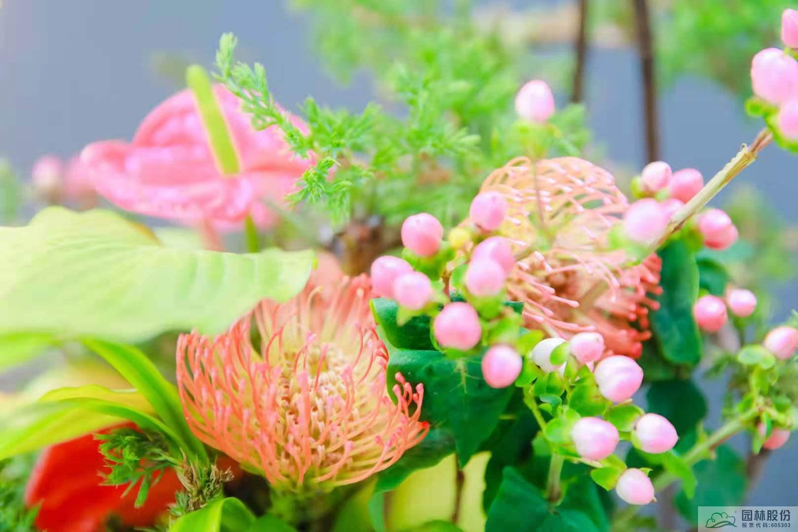 电竞比赛押注app