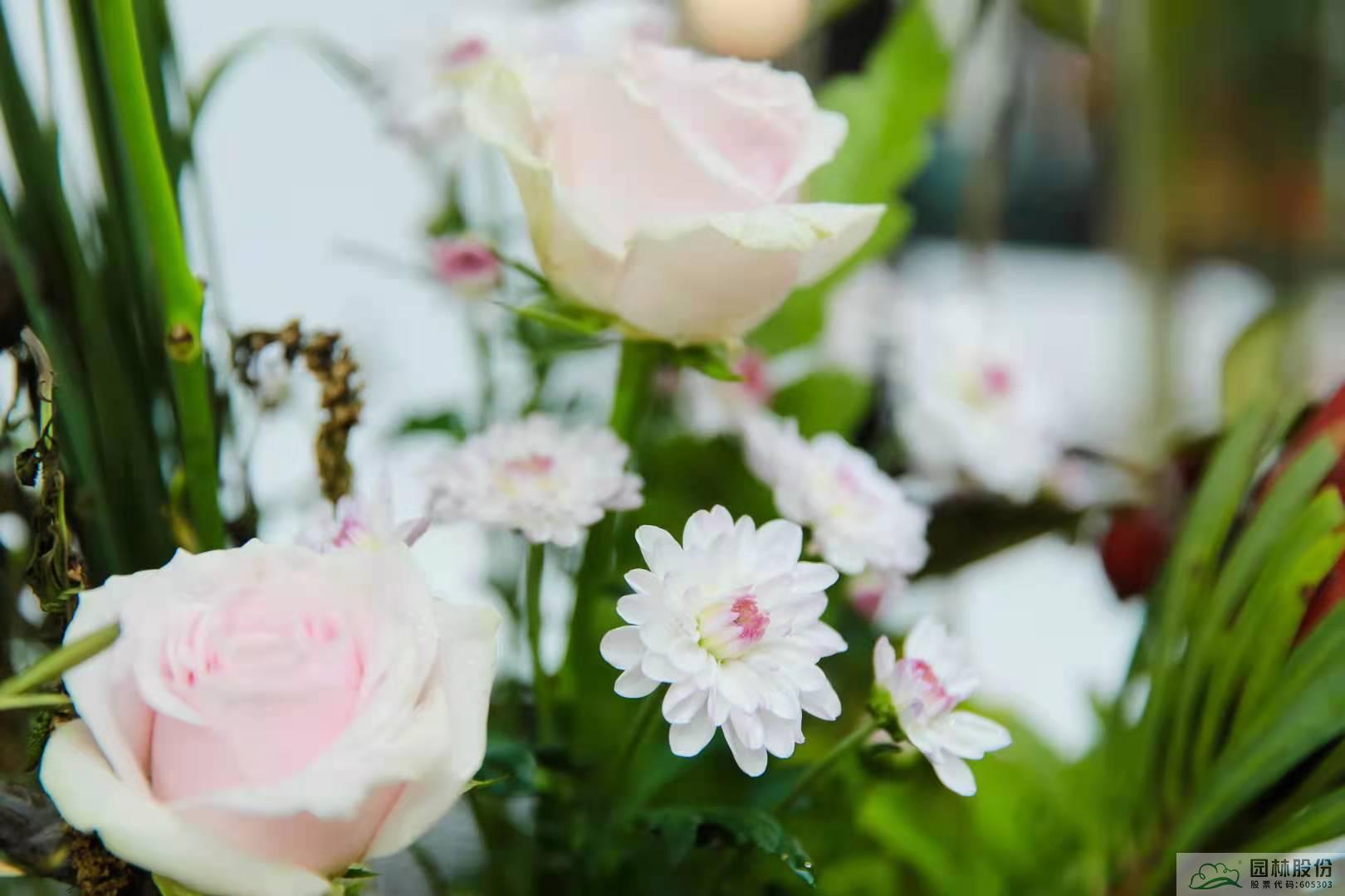 电竞比赛押注app