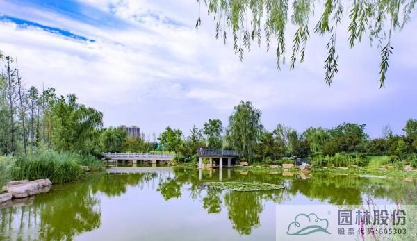 电竞比赛押注app