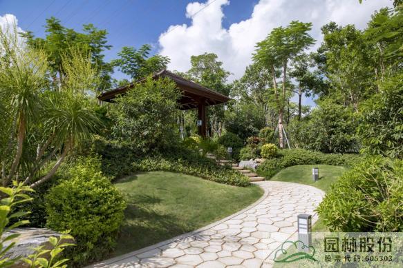 电竞比赛押注app