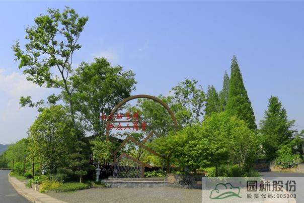 电竞比赛押注app