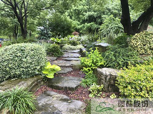 电竞比赛押注app