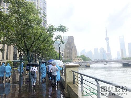 电竞比赛押注app