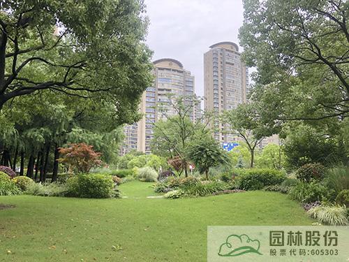 电竞比赛押注app