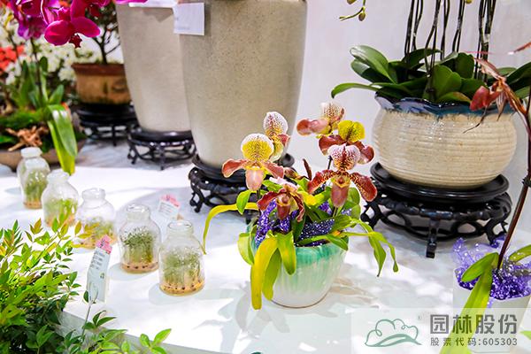 电竞比赛押注app