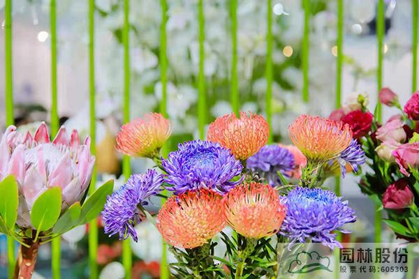 电竞比赛押注app