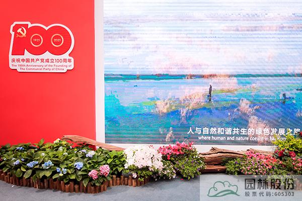 电竞比赛押注app