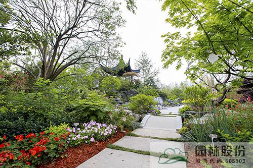 电竞比赛押注app