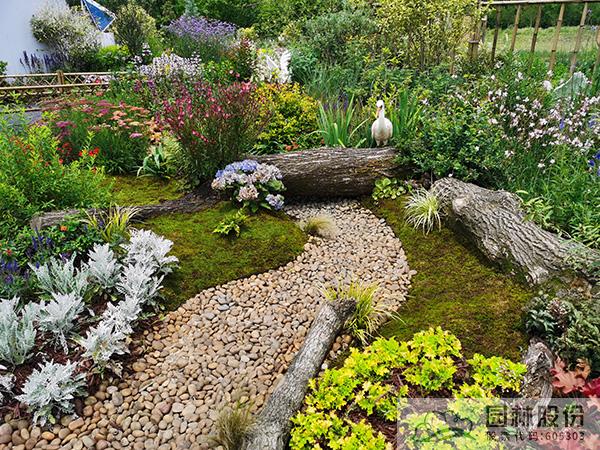 电竞比赛押注app